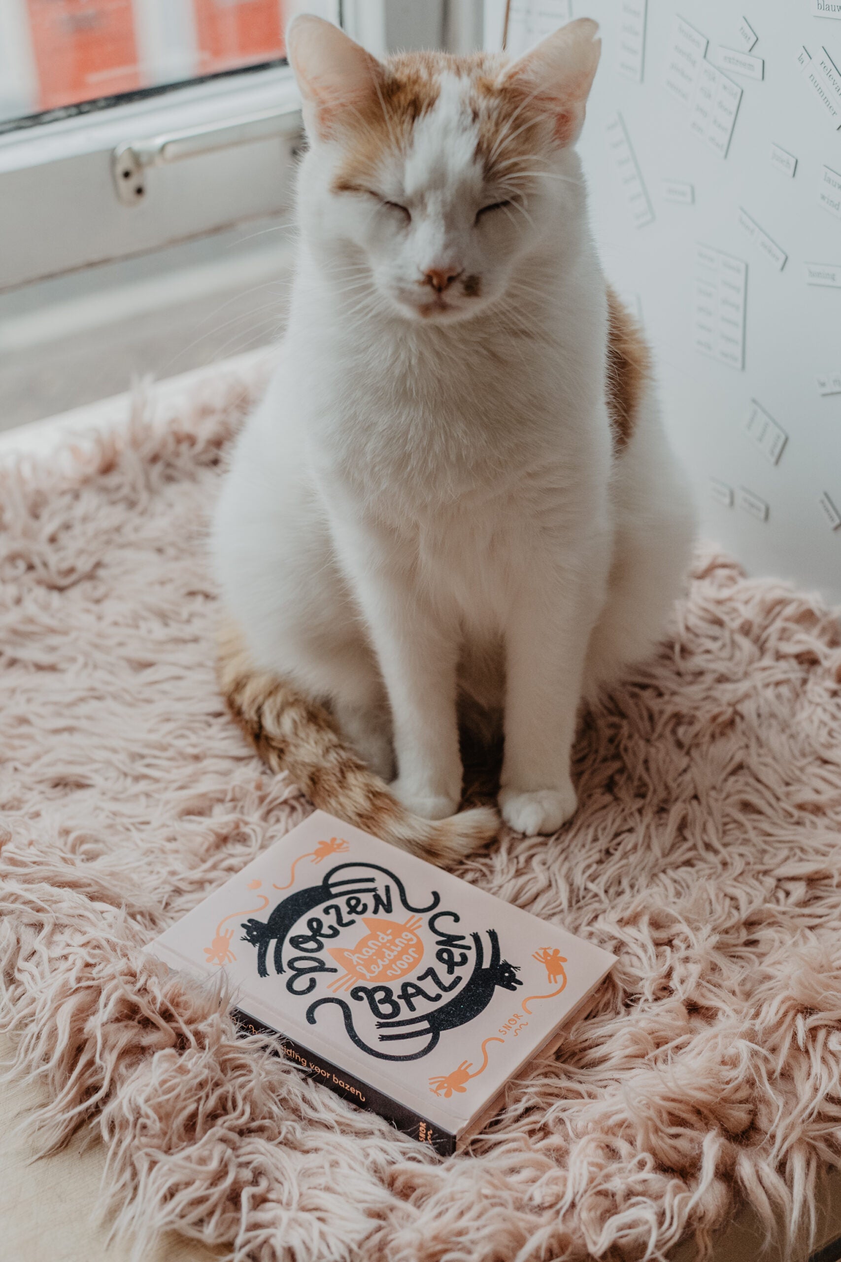 Poezen handleiding voor bazen