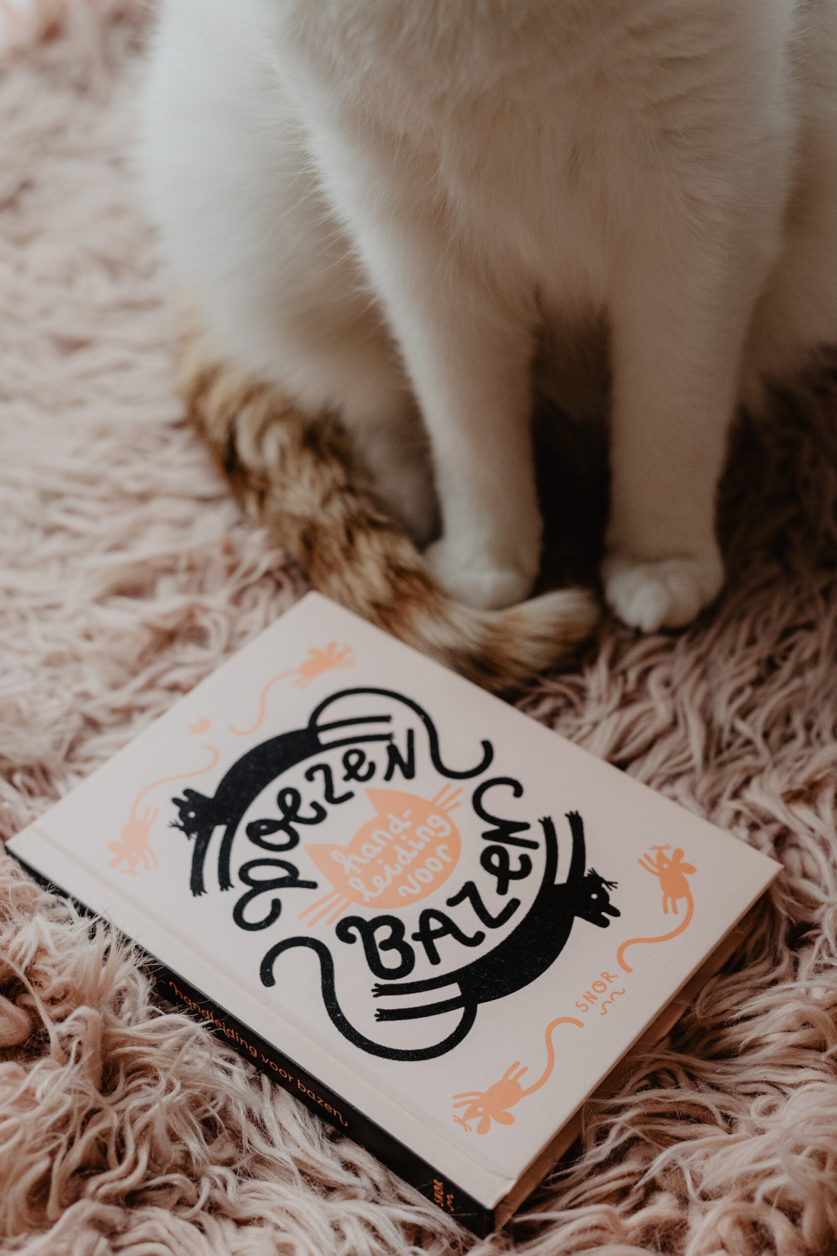 Poezen handleiding voor bazen