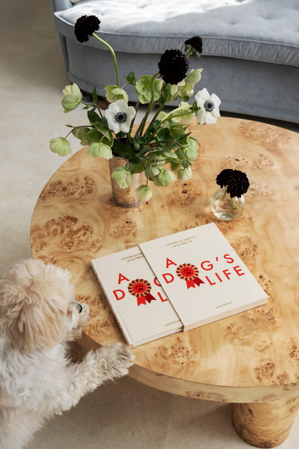 Printworks A Dog's Life - Dog Journal