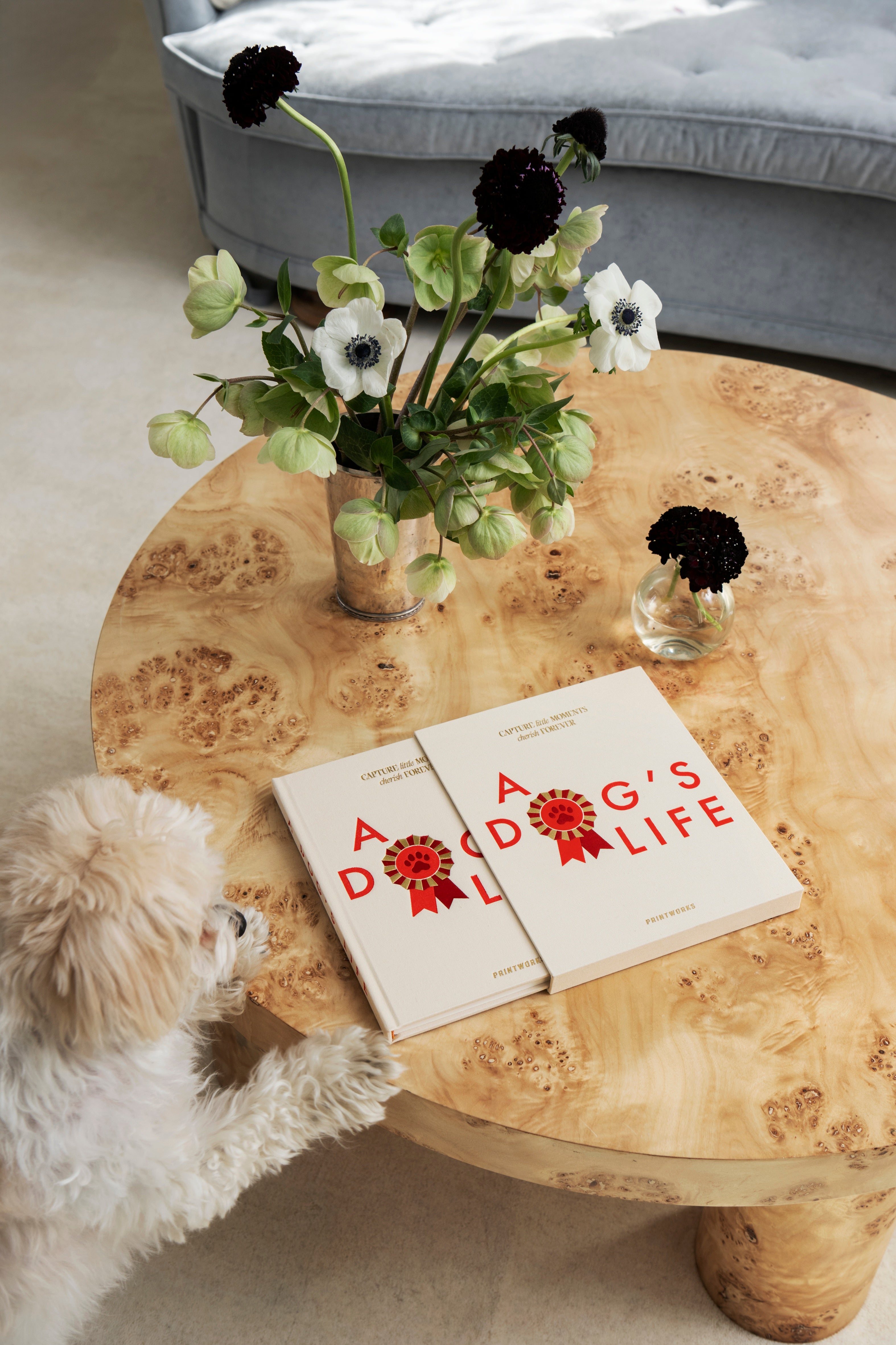 Printworks A Dog's Life - Dog Journal
