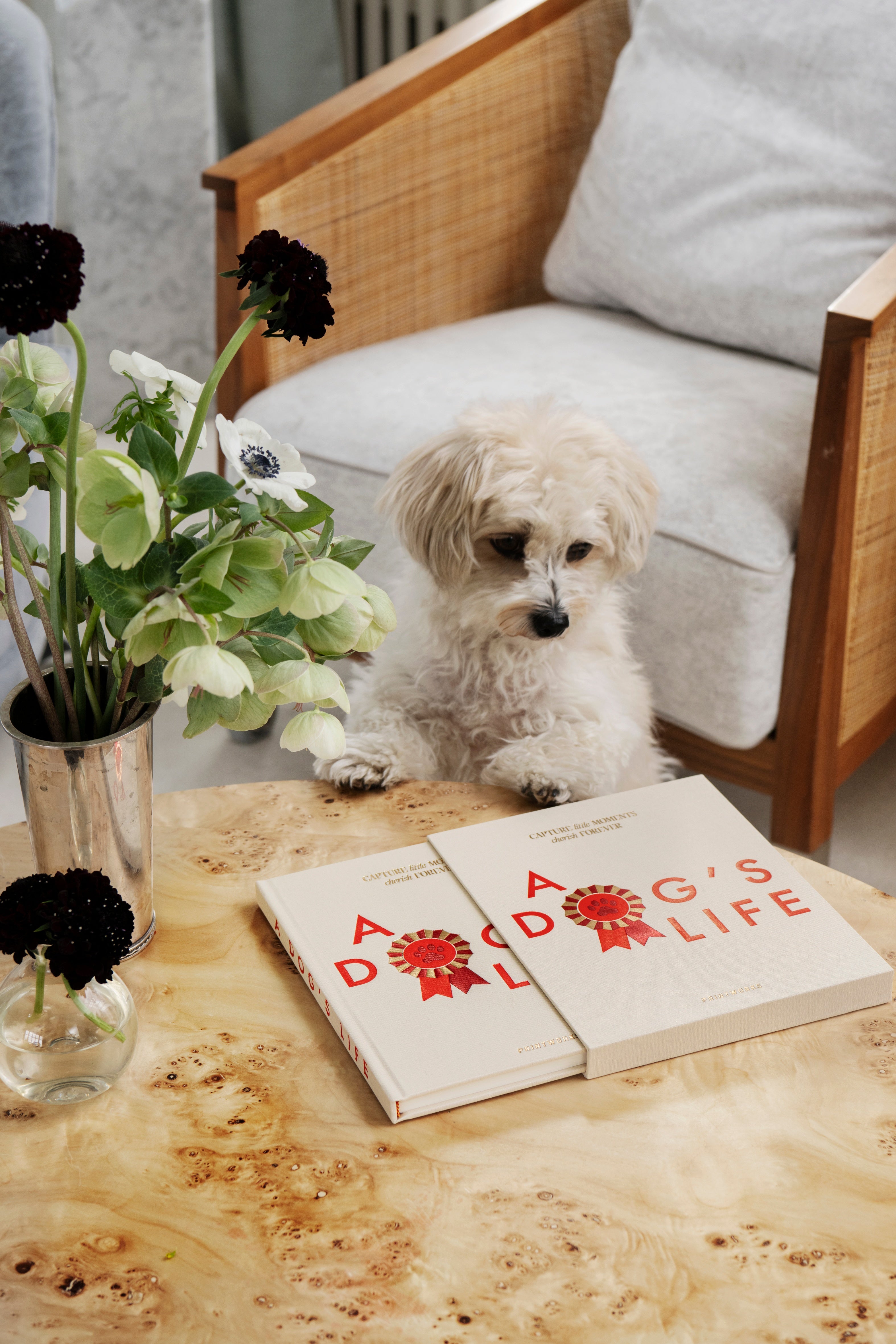 Printworks A Dog's Life - Dog Journal