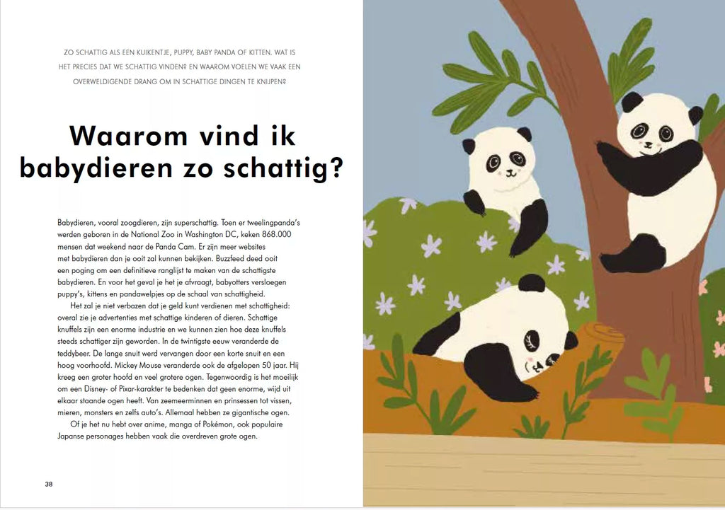 Waarom ben ik zo? De vragen die je jezelf altijd al stelde