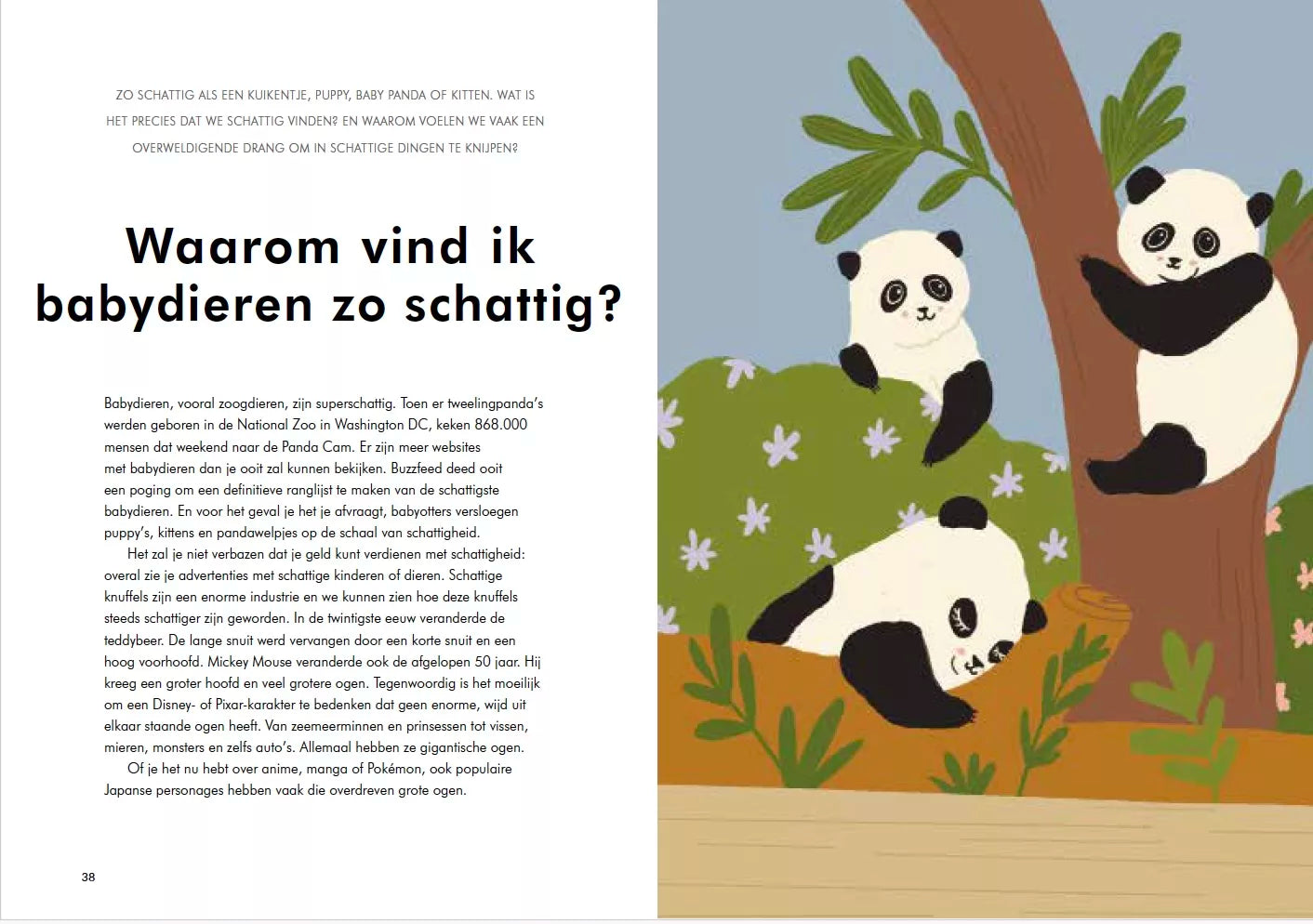 Waarom ben ik zo? De vragen die je jezelf altijd al stelde