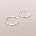 Oorringen Crystal Hoops