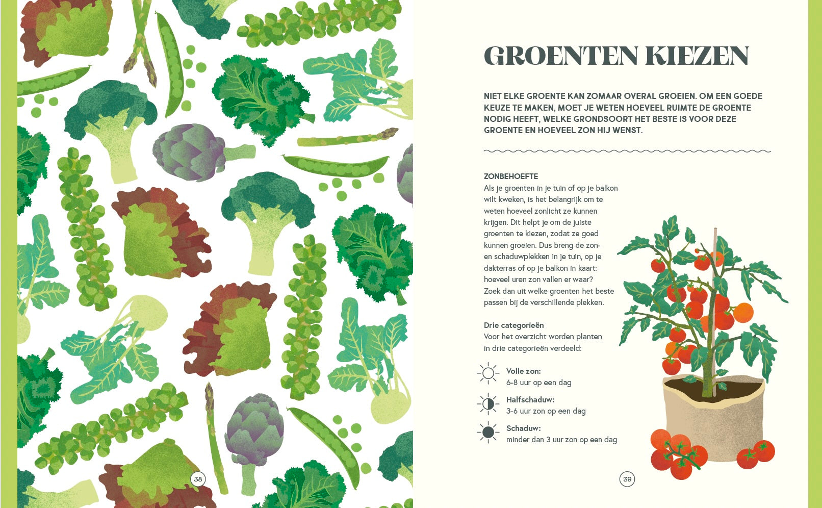 Stadsboeren voor beginners