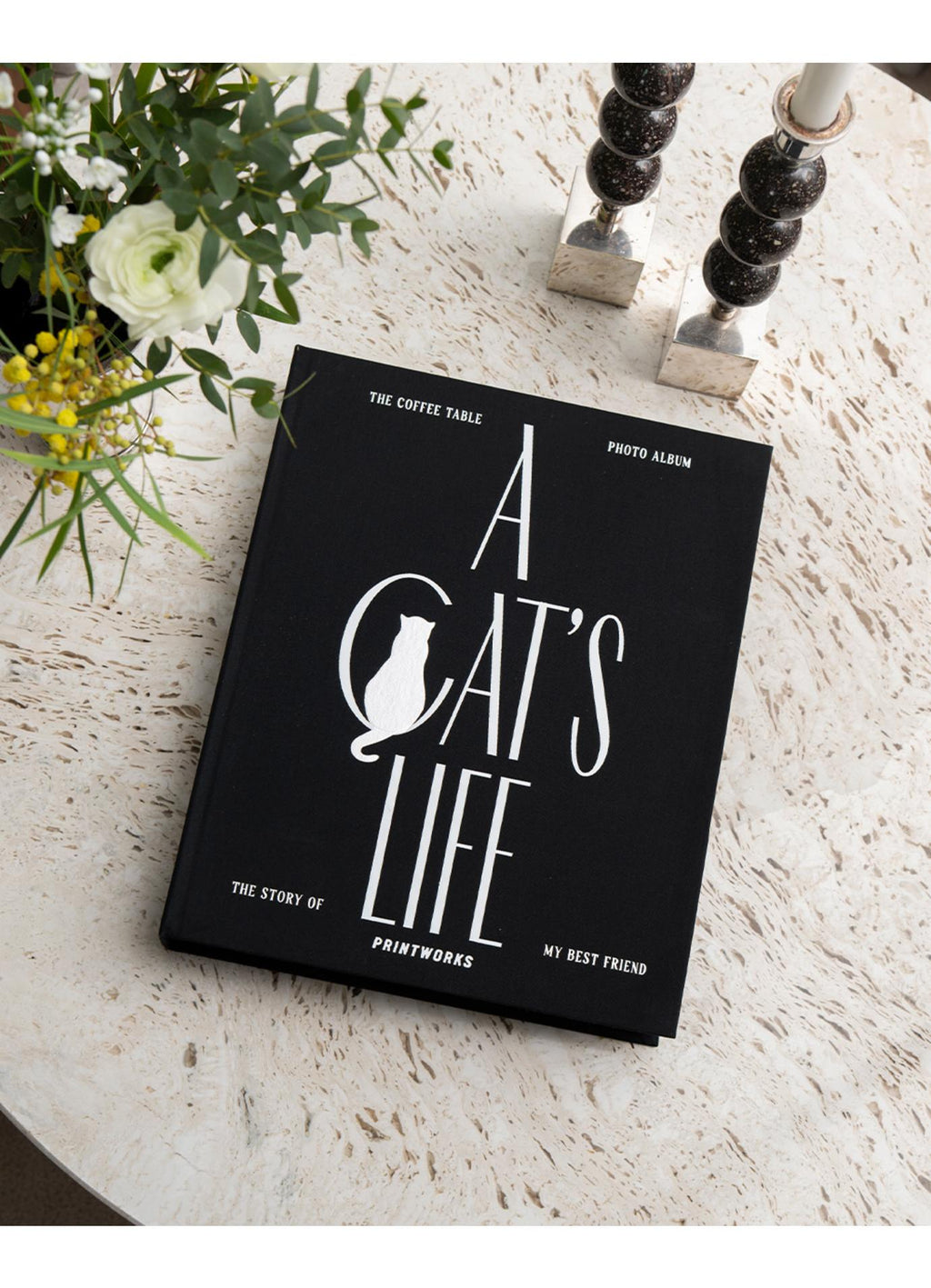 Photo Album - A Cat's Life