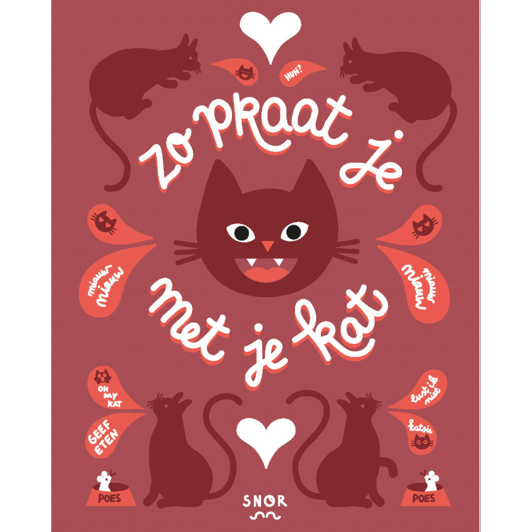 Zo praat je met je kat