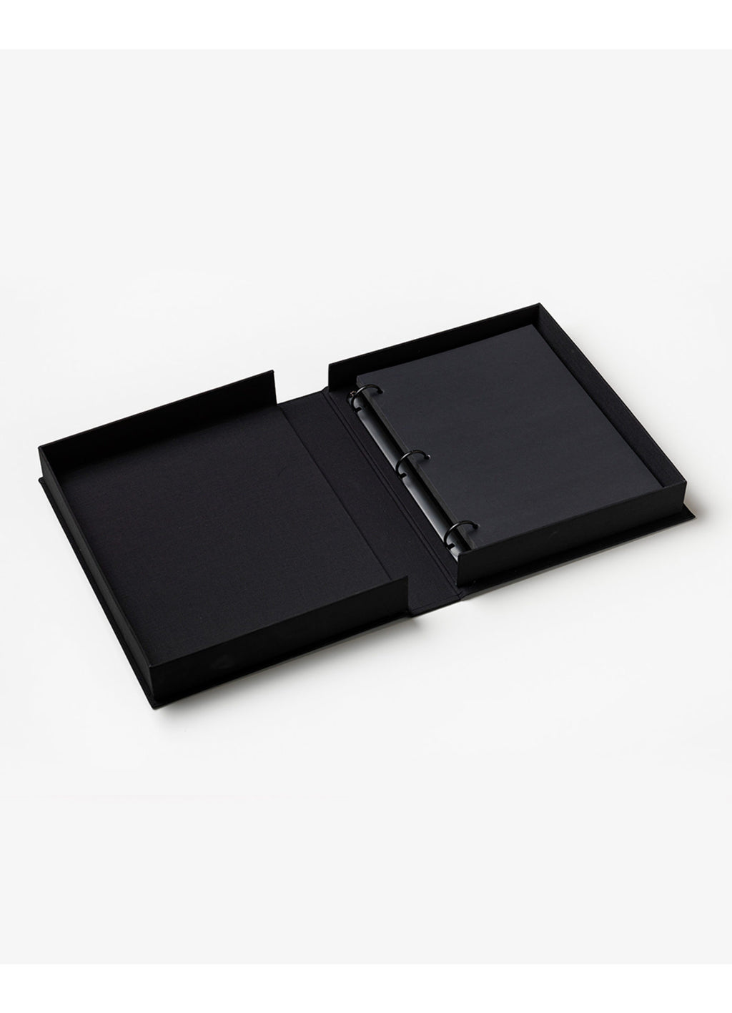 Photo Album - A Cat's Life