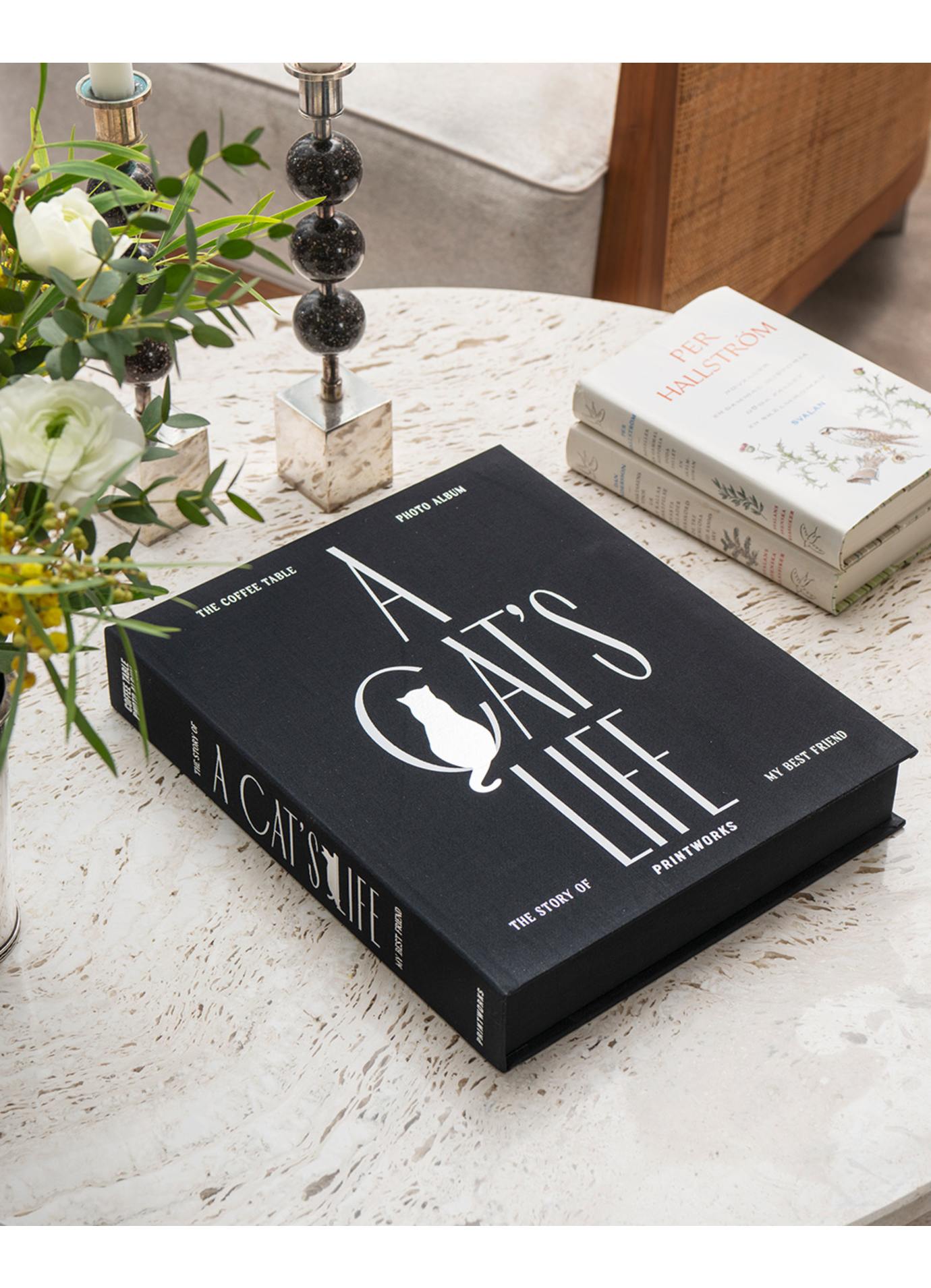 Photo Album - A Cat's Life