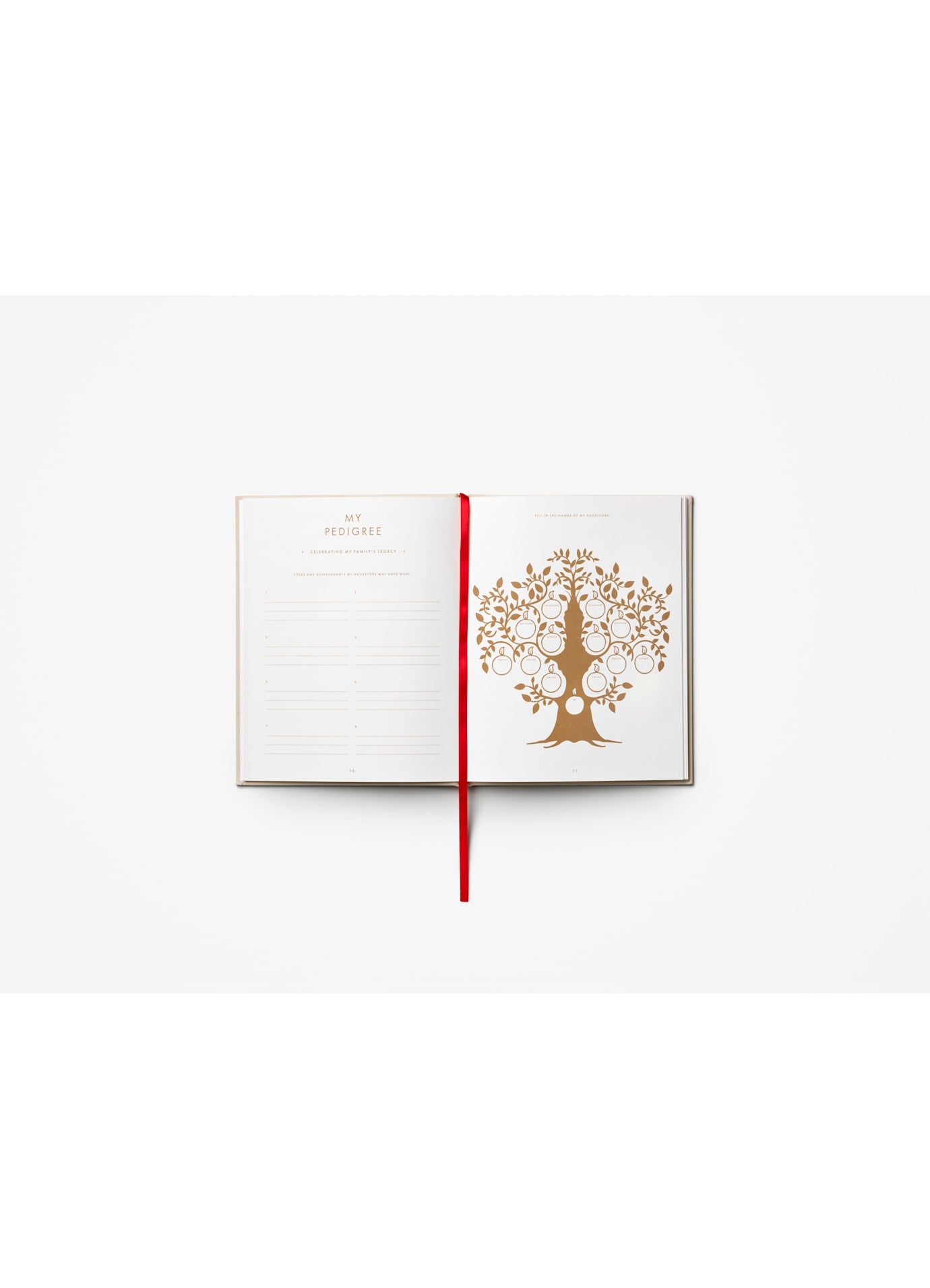 A Dog's Life - Dog Journal