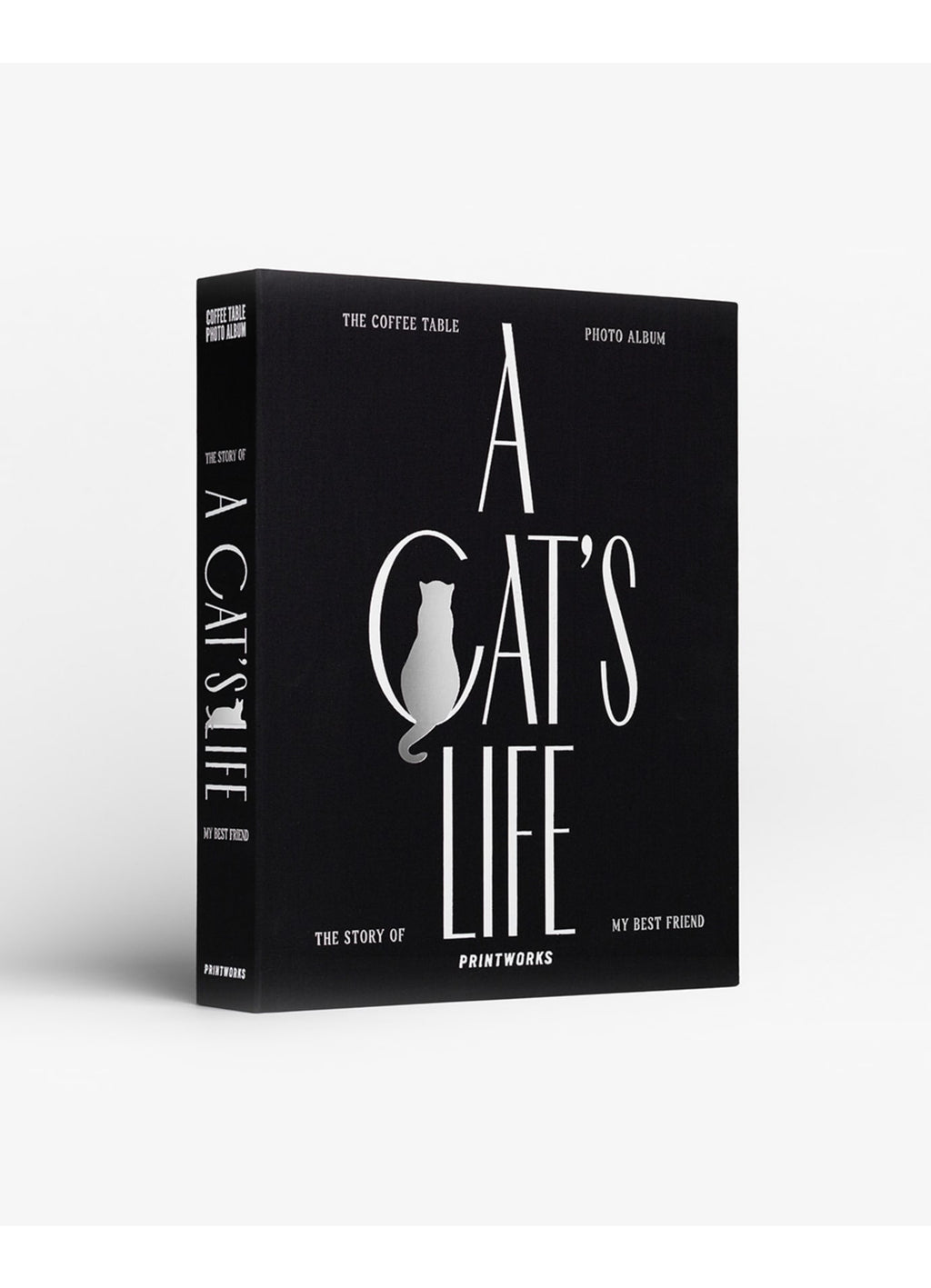 Photo Album - A Cat's Life